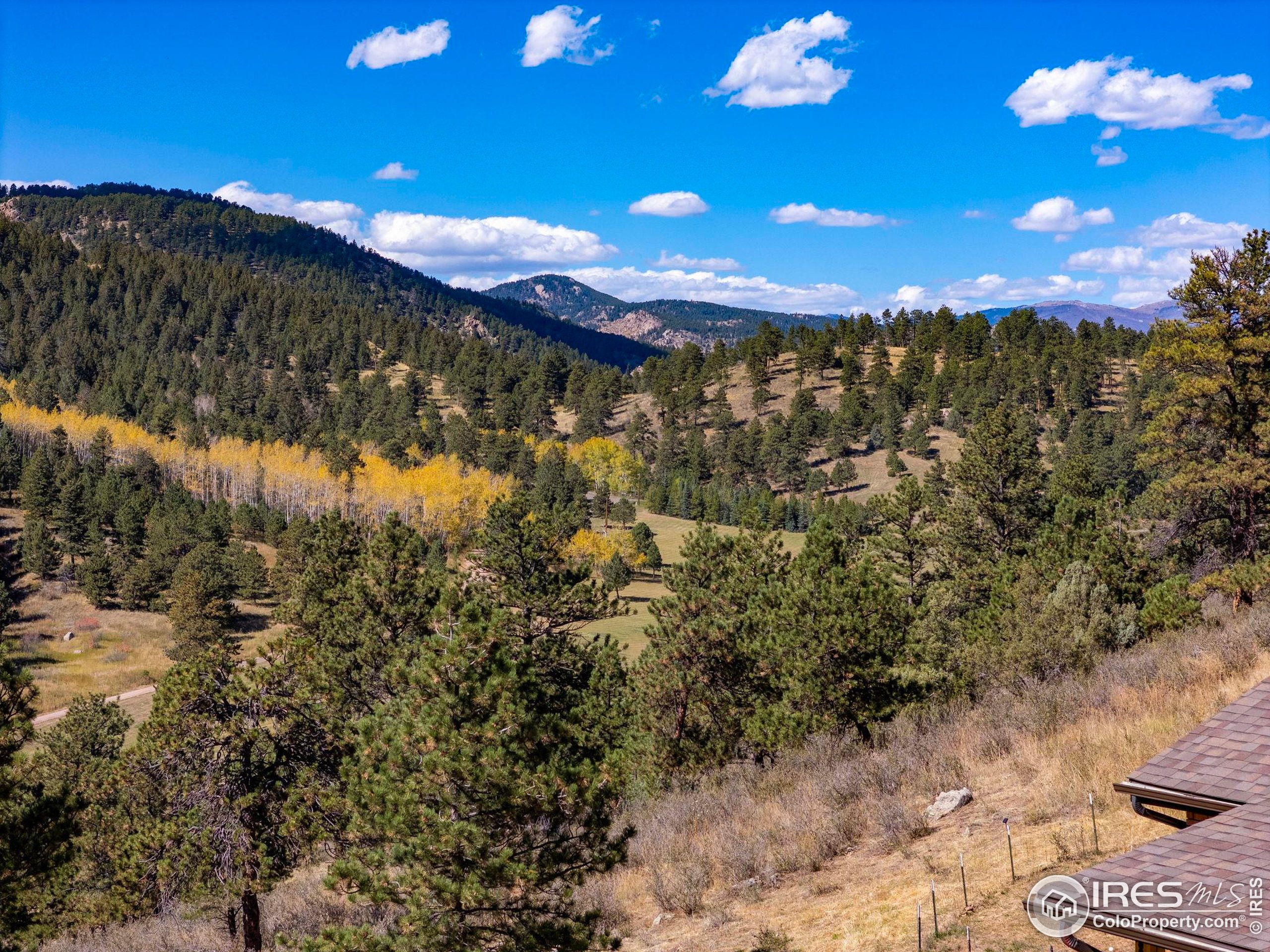 681 Bitterroot Gulch Road Loveland, CO 80537 - Photo 17 of 47 a view of a yard