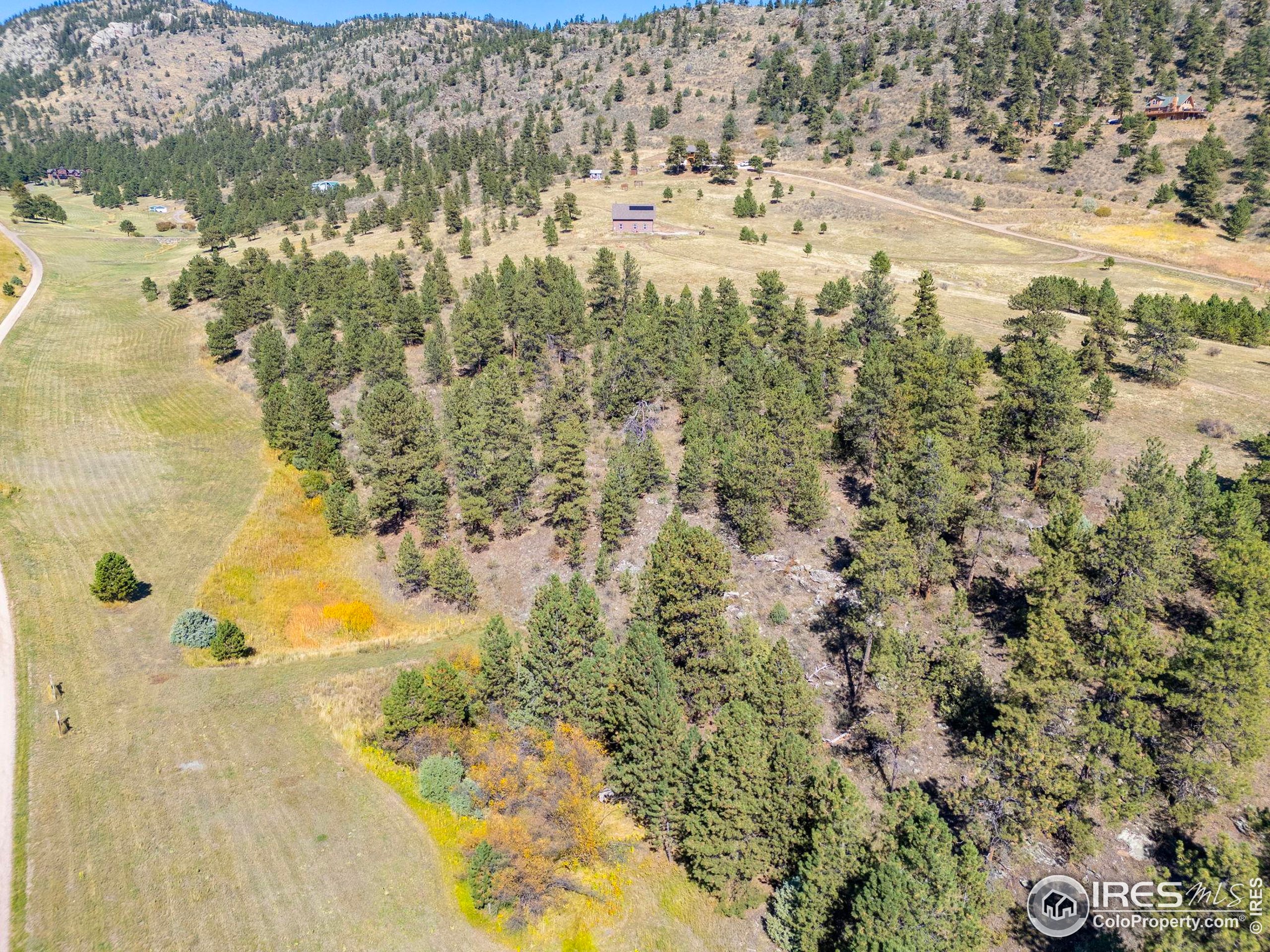 681 Bitterroot Gulch Road Loveland, CO 80537 - Photo 42 of 47