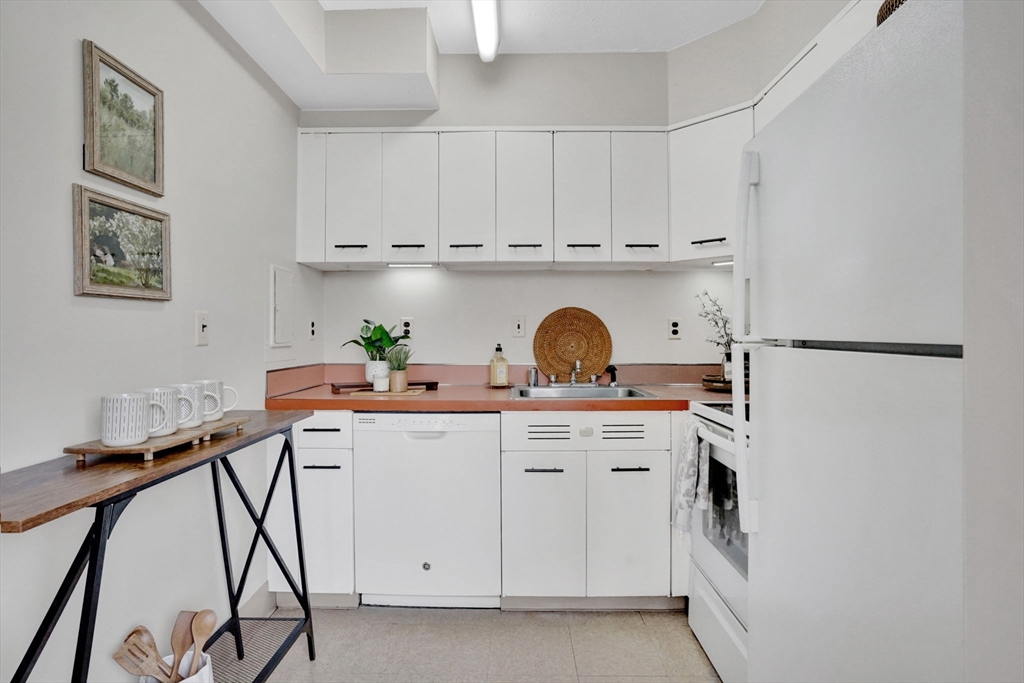 101 Mulberry Street, Unit 519 Springfield, MA 01105 - Photo 8 of 31