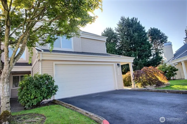 a view of a yard with plants and a large tree