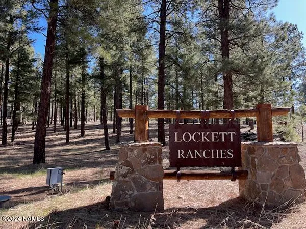 a street view covered with snow