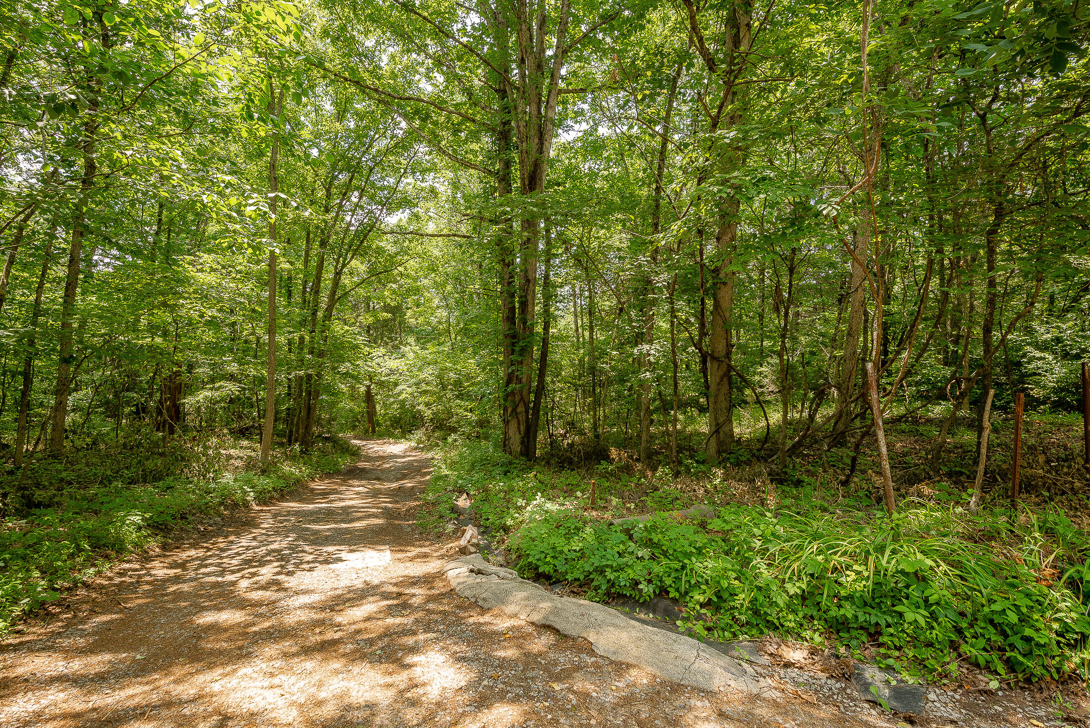 1168 Timber Ridge Road Bluff City, TN 37618 - Photo 35 of 46 Driveway