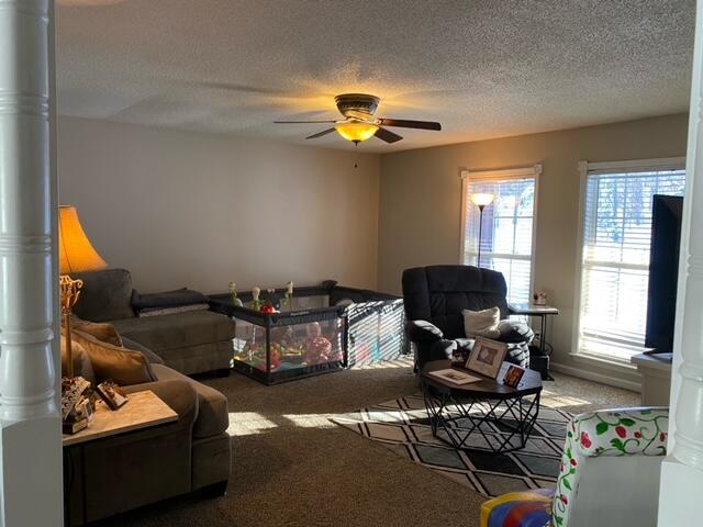 258 Gene Jones Road Stearns, KY 42647 - Photo 22 of 53 IMG_8463