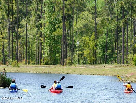 6062 Sullivan Ridge Road Southport, NC 28461 - Photo 17 of 23