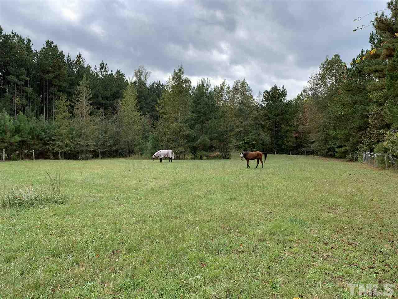 a ground with lots of green space and trees