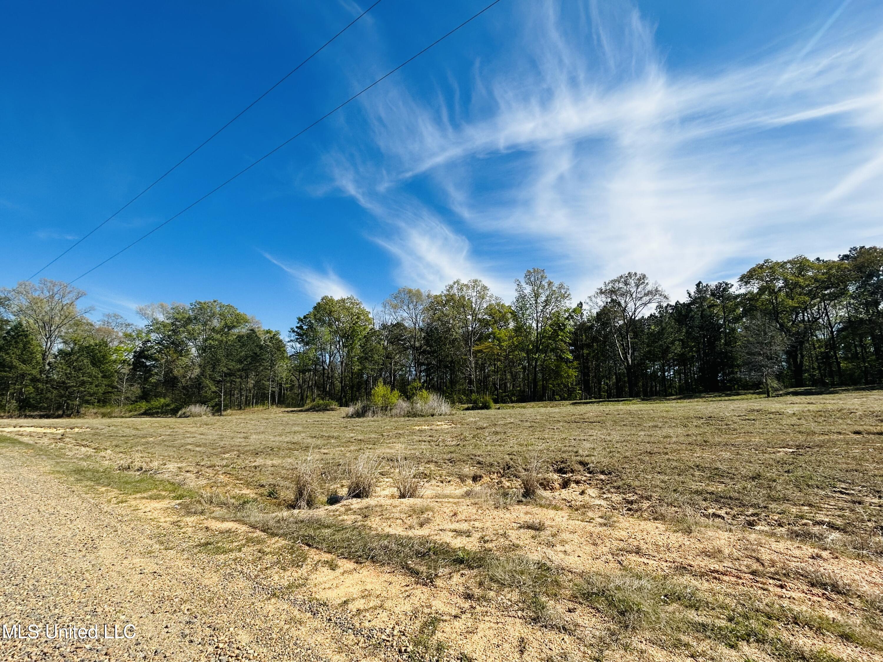 163 Iron Oak Ridge Brandon, MS 39042 - Photo 4 of 6 IMG_E1536