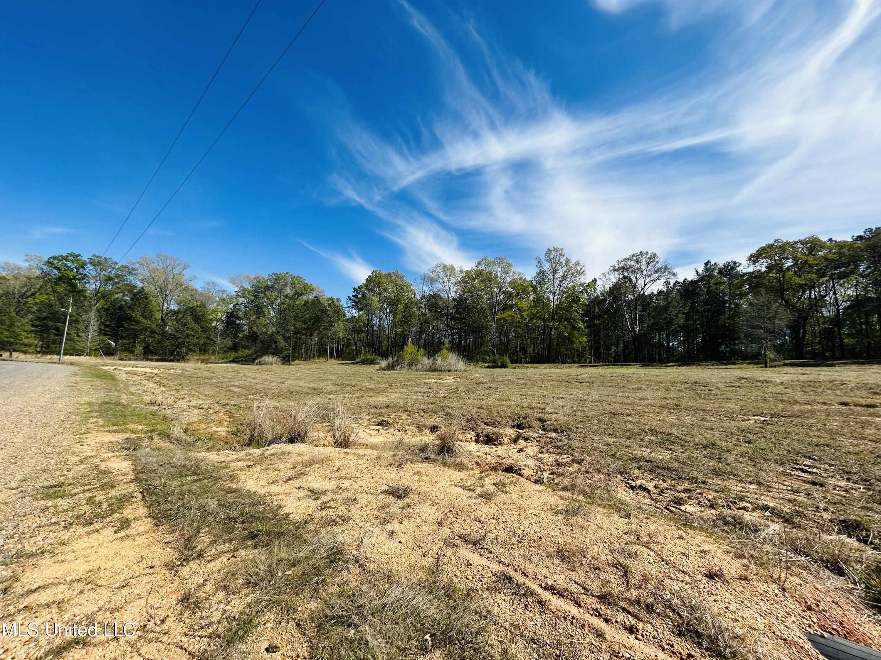163 Iron Oak Ridge Brandon, MS 39042 - Photo 6 of 6 IMG_E1540
