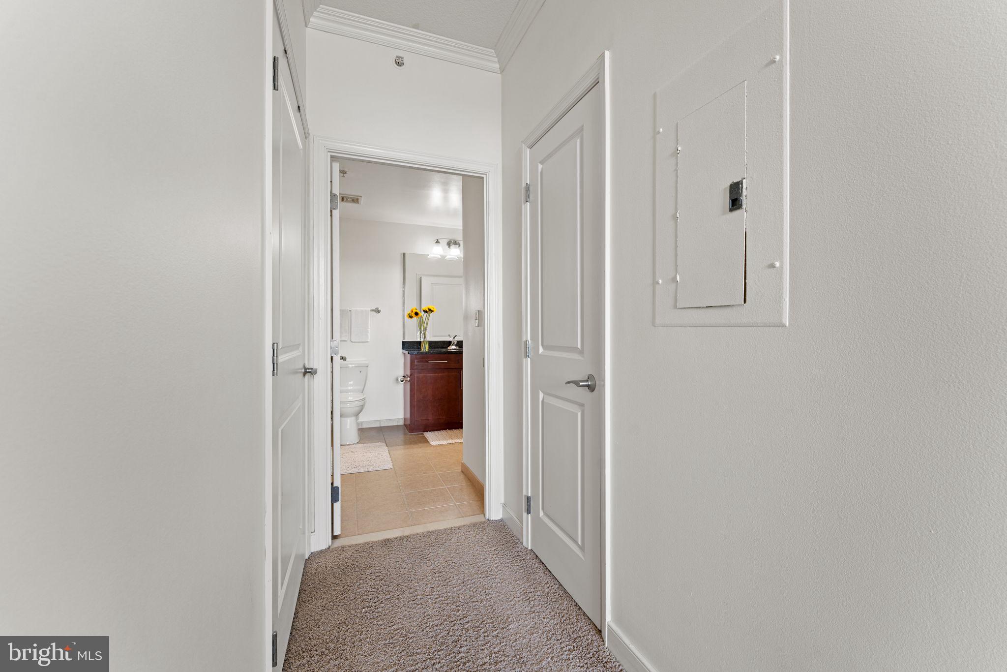 157 Fleet Street, Unit 1001 Oxon Hill, MD 20745 - Photo 18 of 24 a view of a livingroom from a hallway