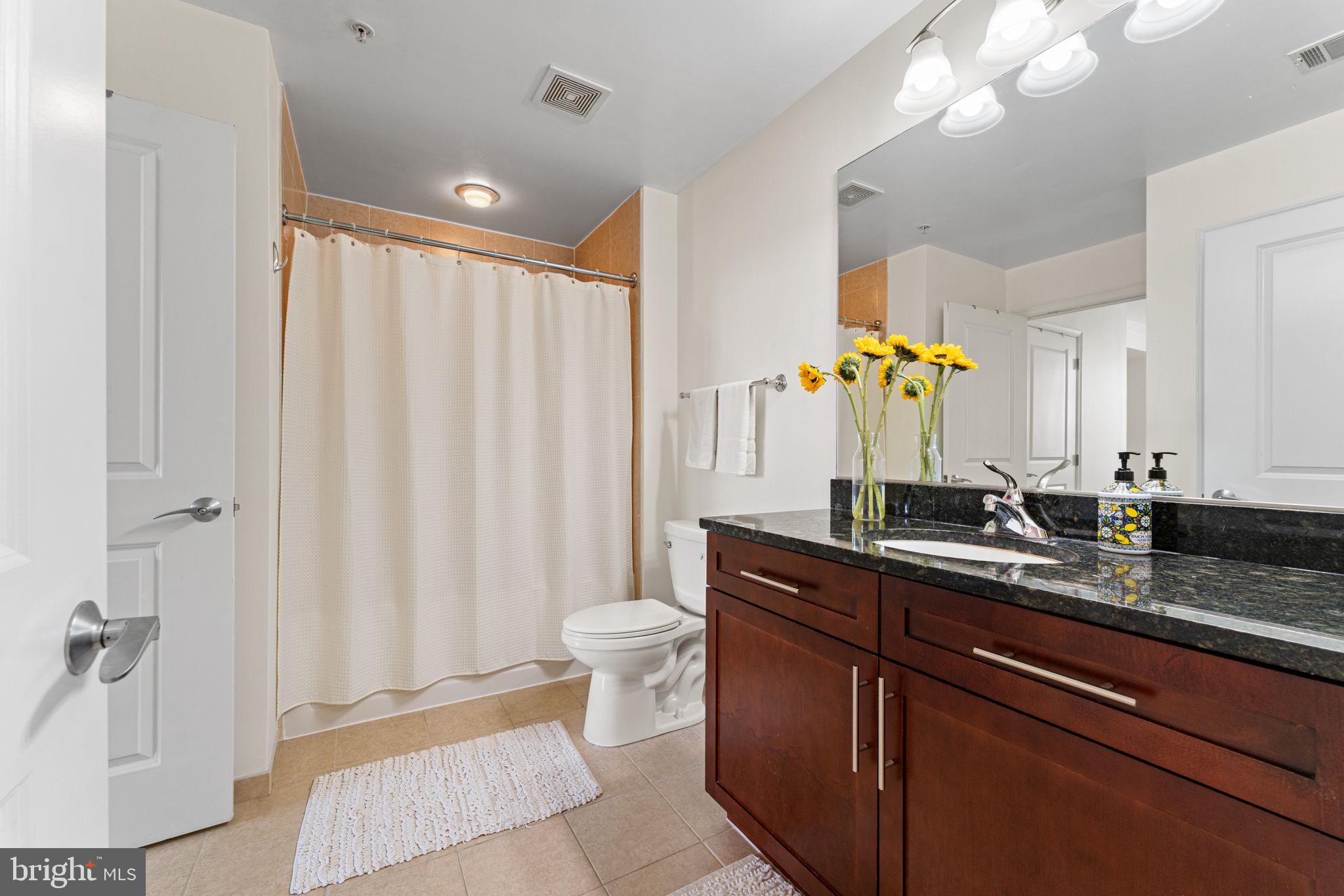 157 Fleet Street, Unit 1001 Oxon Hill, MD 20745 - Photo 19 of 24 a bathroom with a granite countertop sink and a mirror