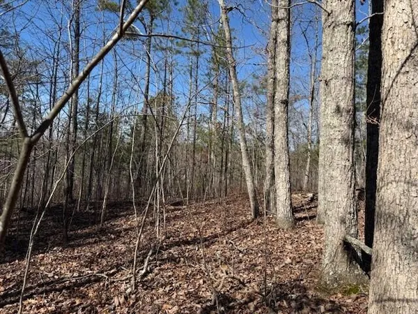$299,500 | 10385 South Pittsburg Mountain Road, South Pittsburg, TN 37380