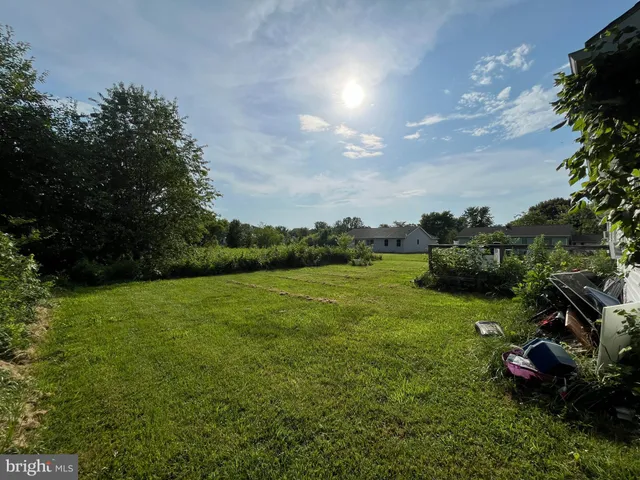 a view of a field of grass and trees