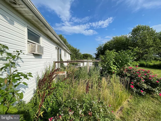 a backyard of a house with lots of green space and plants