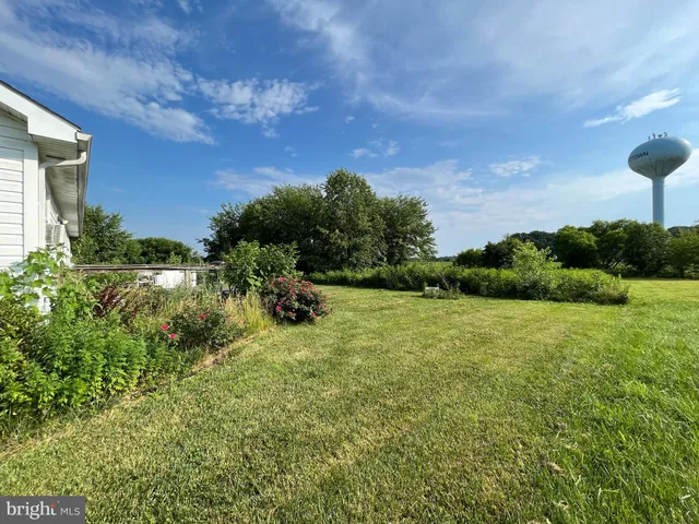 a view of a big yard with potted plants and large tree