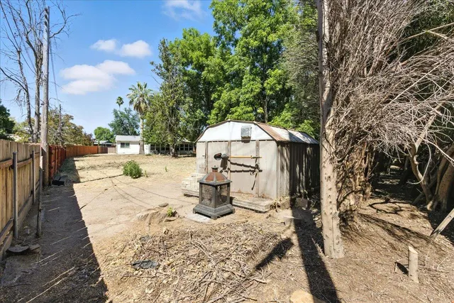 a view of a tree in the middle of a yard
