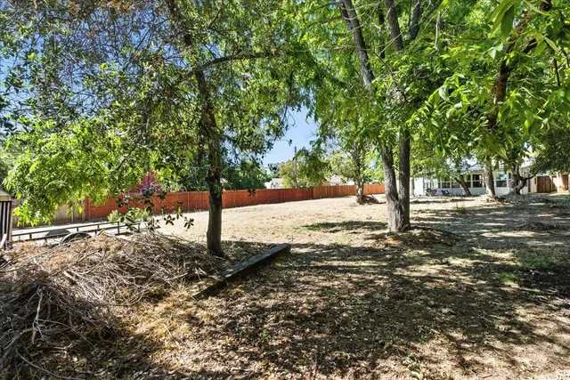 a view of backyard with large trees