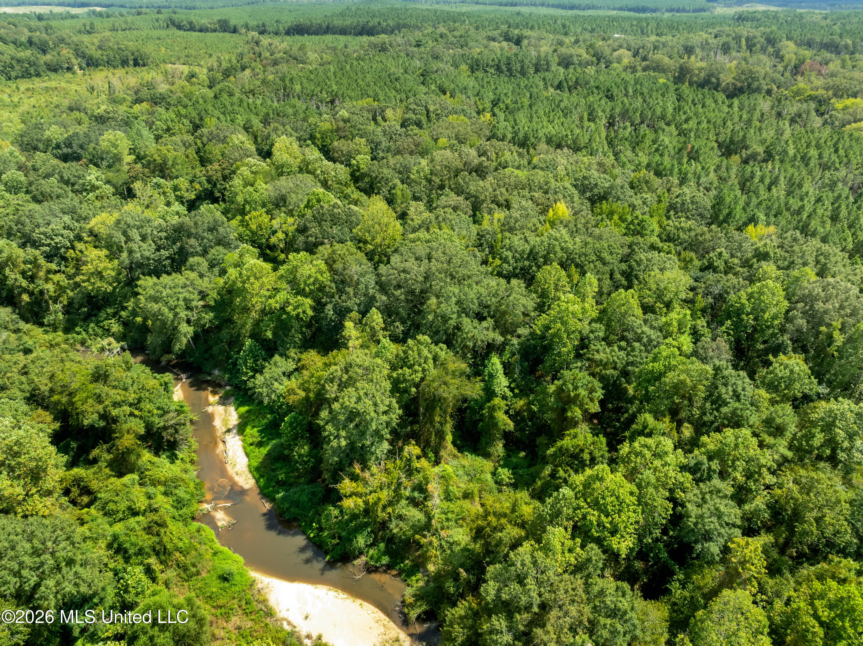 3751 Mound Road Northeast Wesson, MS 39191 - Photo 66 of 73 3751_Mound_Rd_NE-60