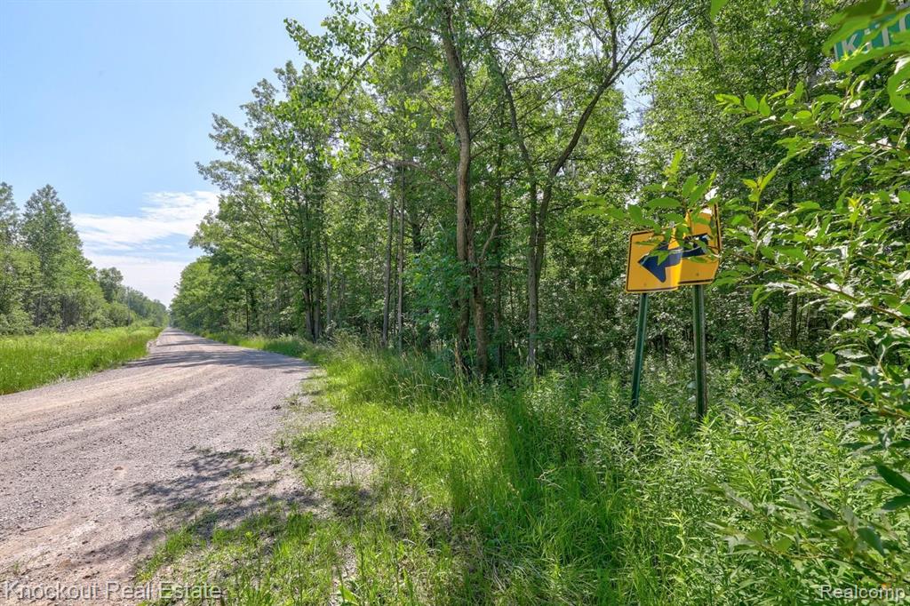 1000 West Kitchen Road Linwood, MI 48634 - Photo 33 of 34