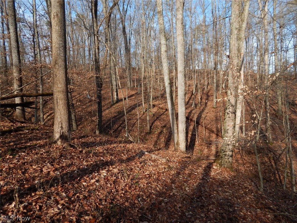 Mt Zion Road Harrisville, WV 26362 - Photo 17 of 23