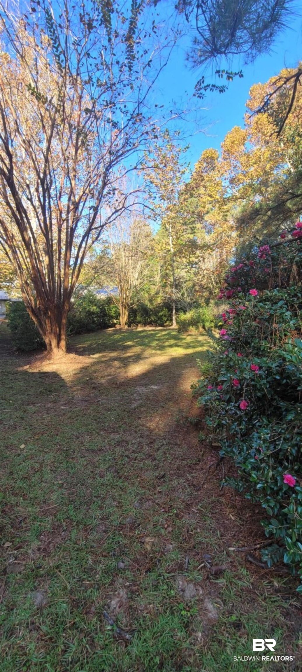 19091 Thompson Hall Road Fairhope, AL 36532 - Photo 31 of 38 Front Yard