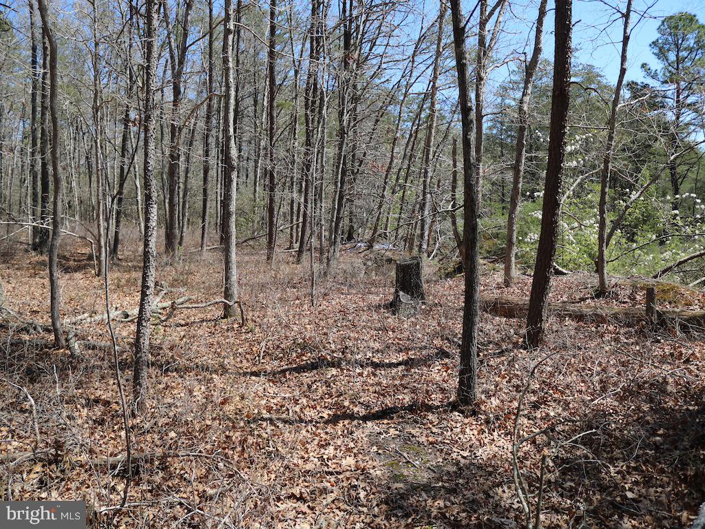 351 Shaws Mill Road Cedarville, NJ 08311 - Photo 79 of 84