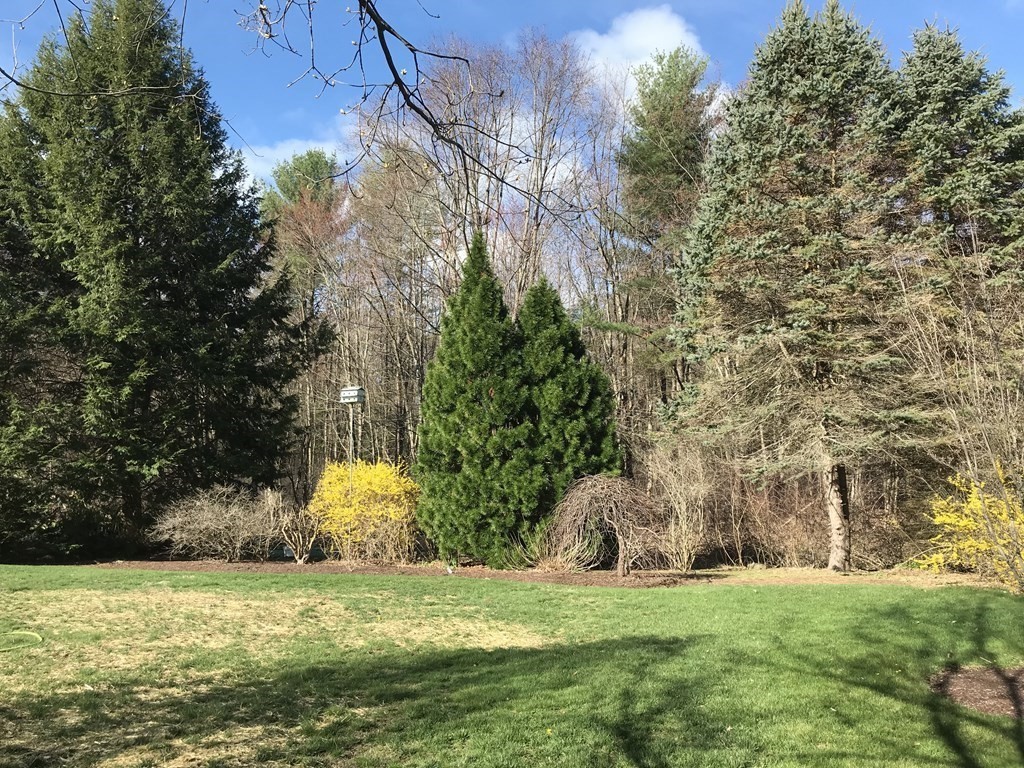 55 Old Bay Road Belchertown, MA 01007 - Photo 3 of 34 Gallery Image 3