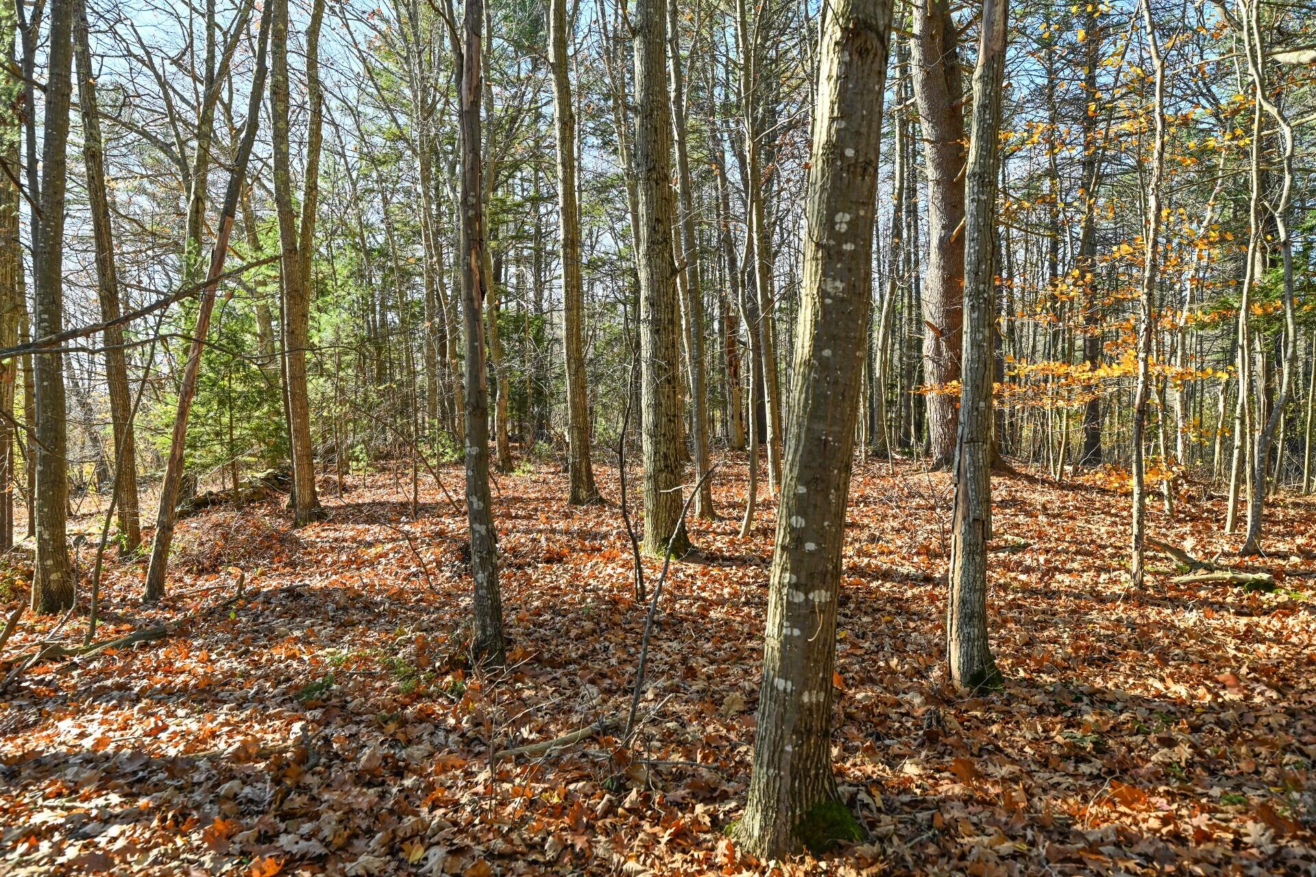 172 B Middle Road Cumberland Center, ME 04021 - Photo 9 of 9 Land (1 of 1)