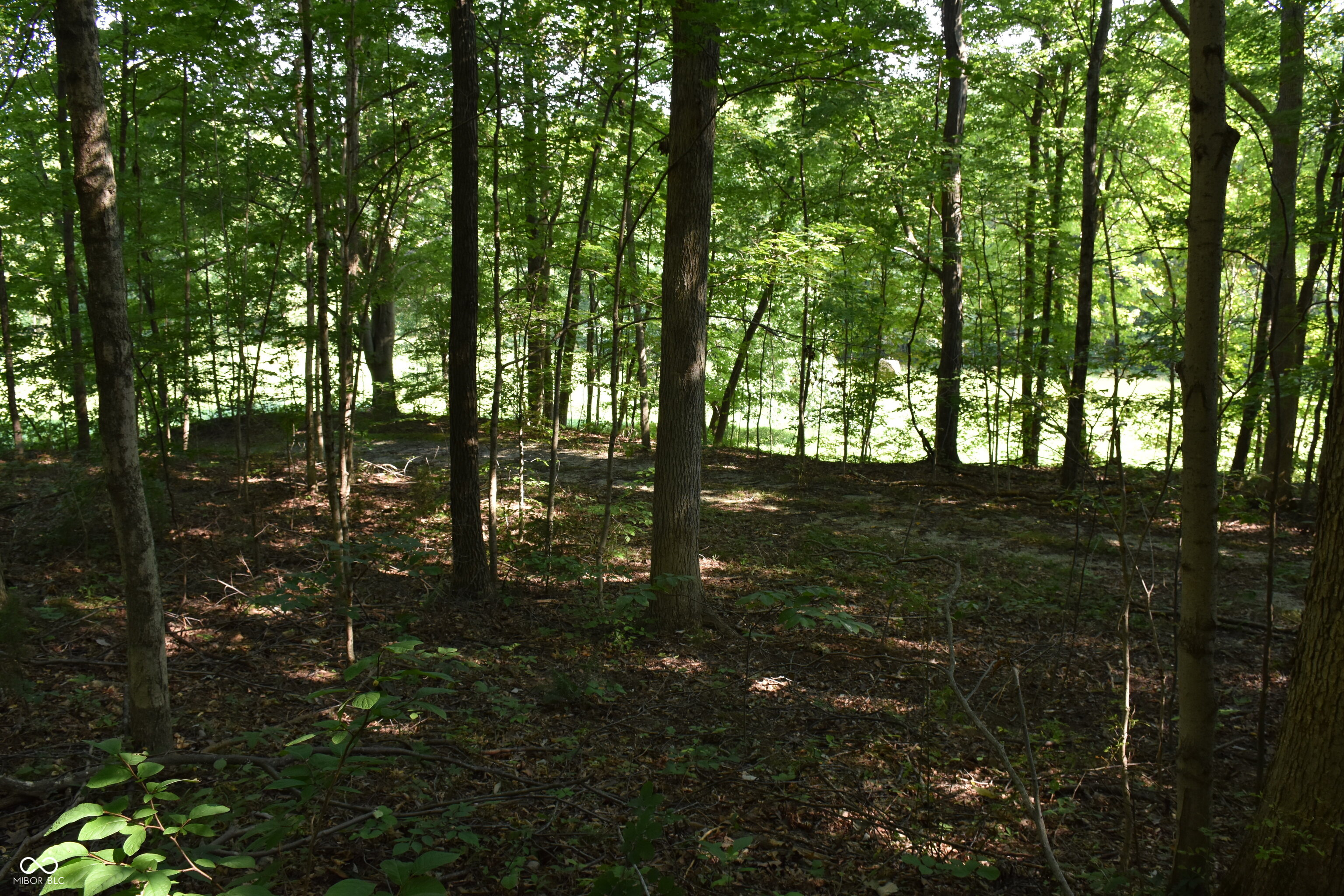 0 Sichting Road Martinsville, IN 46151 - Photo 9 of 43 Gallery Image 9