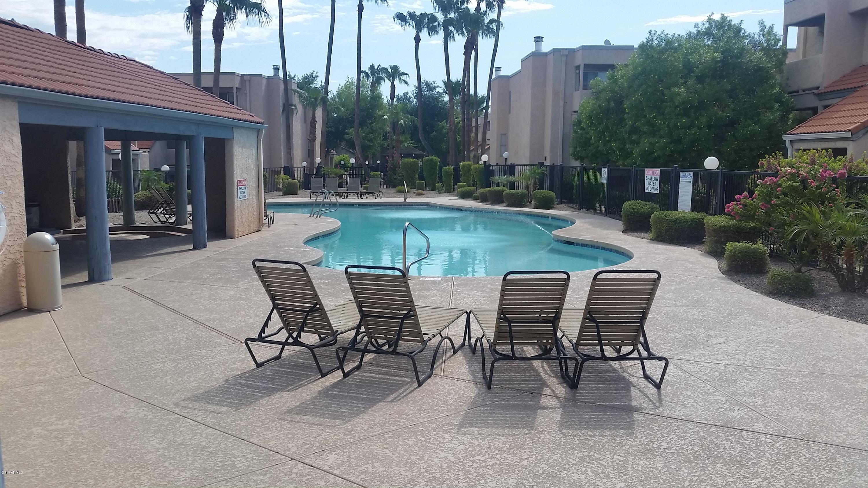 1645 West Baseline Road, Unit 1001 Mesa, AZ 85202 - Photo 1 of 17 Waterworks Pool