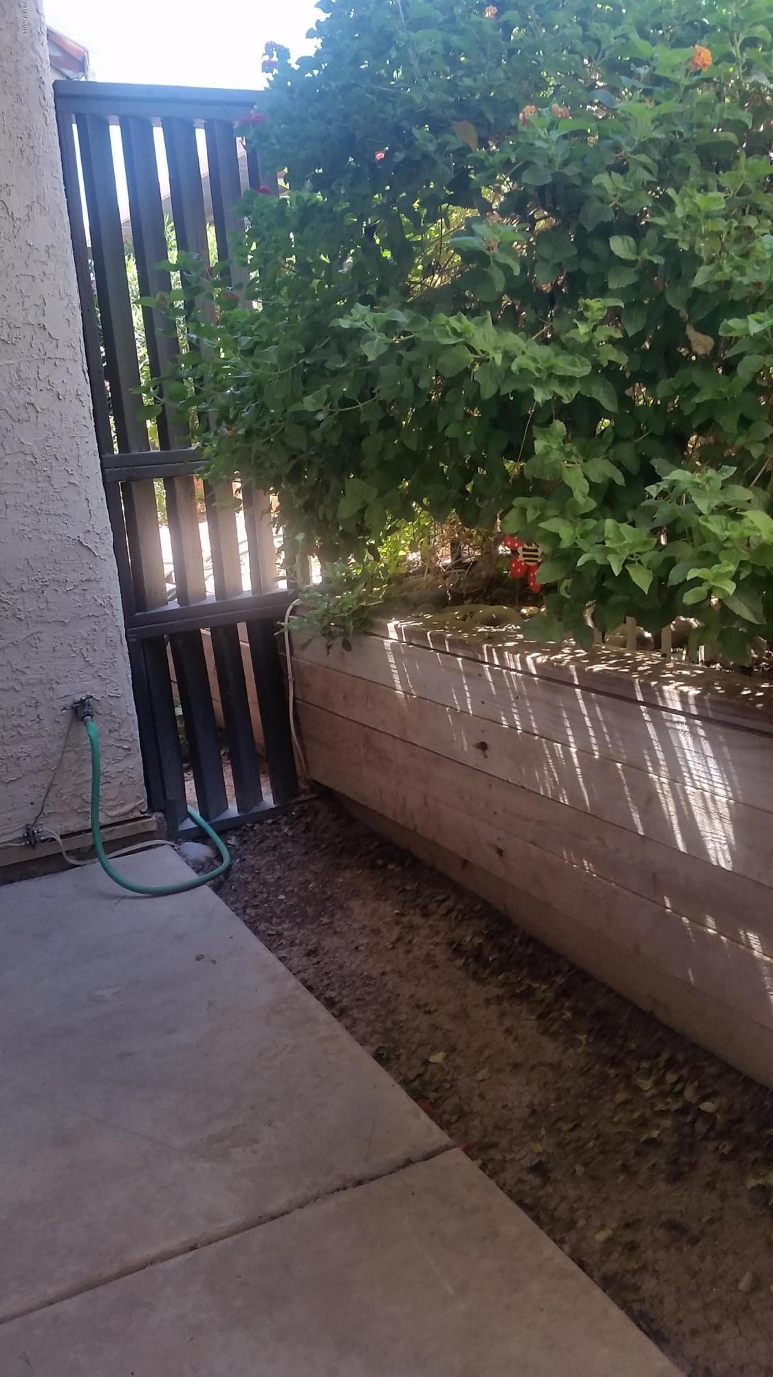 1645 West Baseline Road, Unit 1001 Mesa, AZ 85202 - Photo 13 of 17 Patio