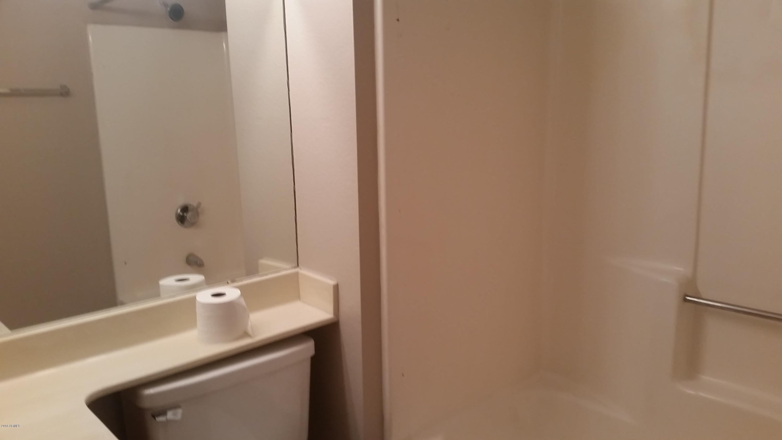 1645 West Baseline Road, Unit 1001 Mesa, AZ 85202 - Photo 10 of 17 Master bath