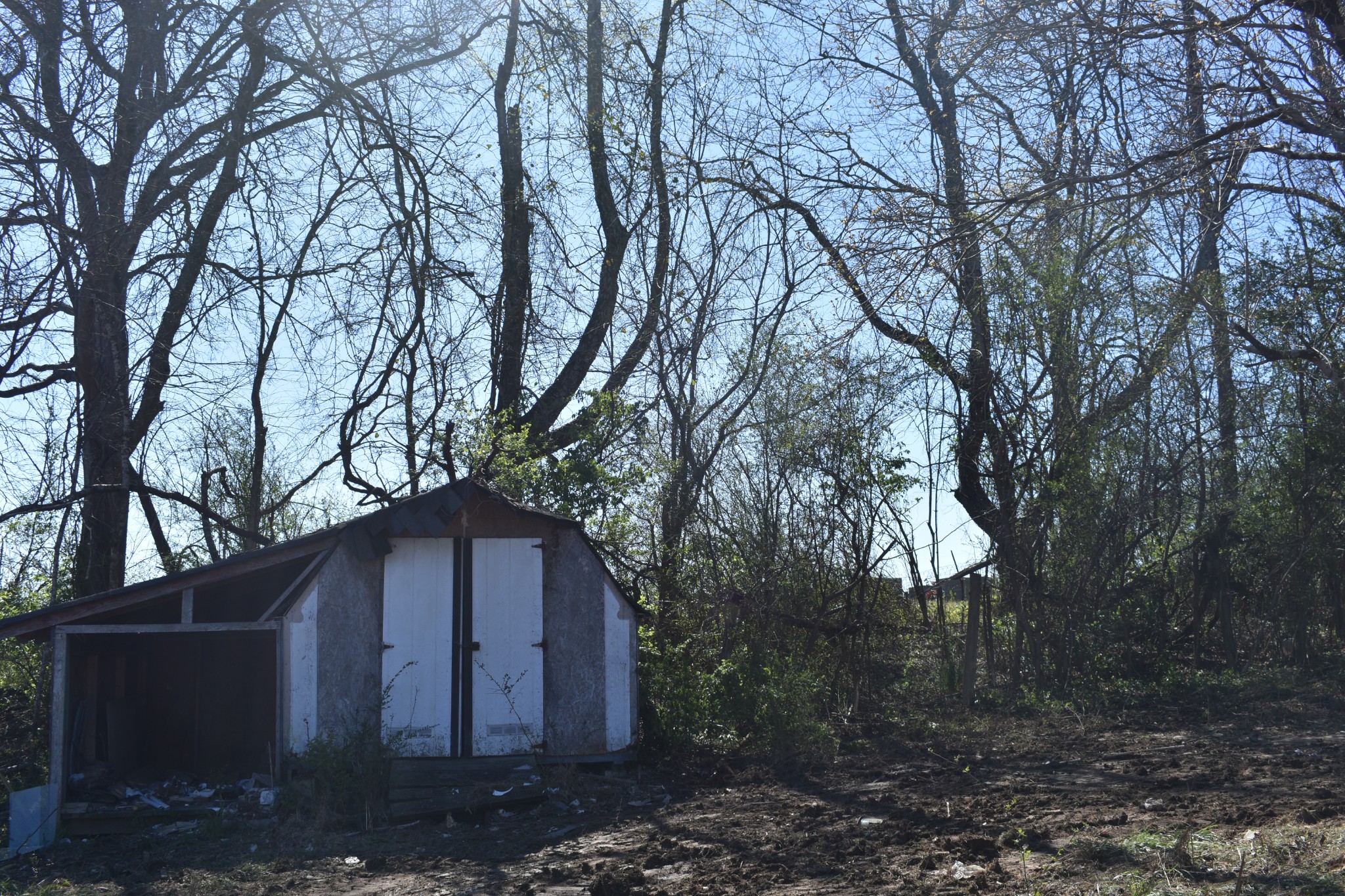 42 Sykes Road Hickman, TN 38567 - Photo 3 of 10