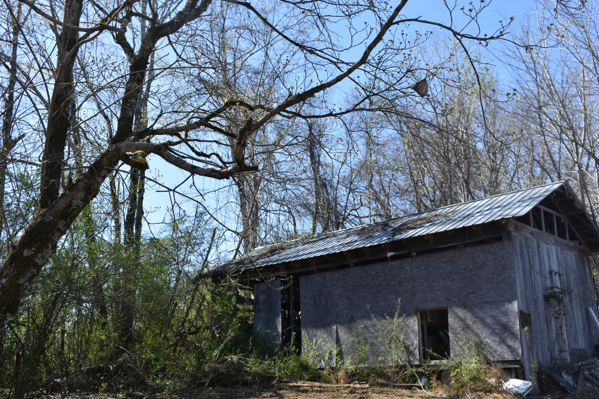 42 Sykes Road Hickman, TN 38567 - Photo 4 of 10