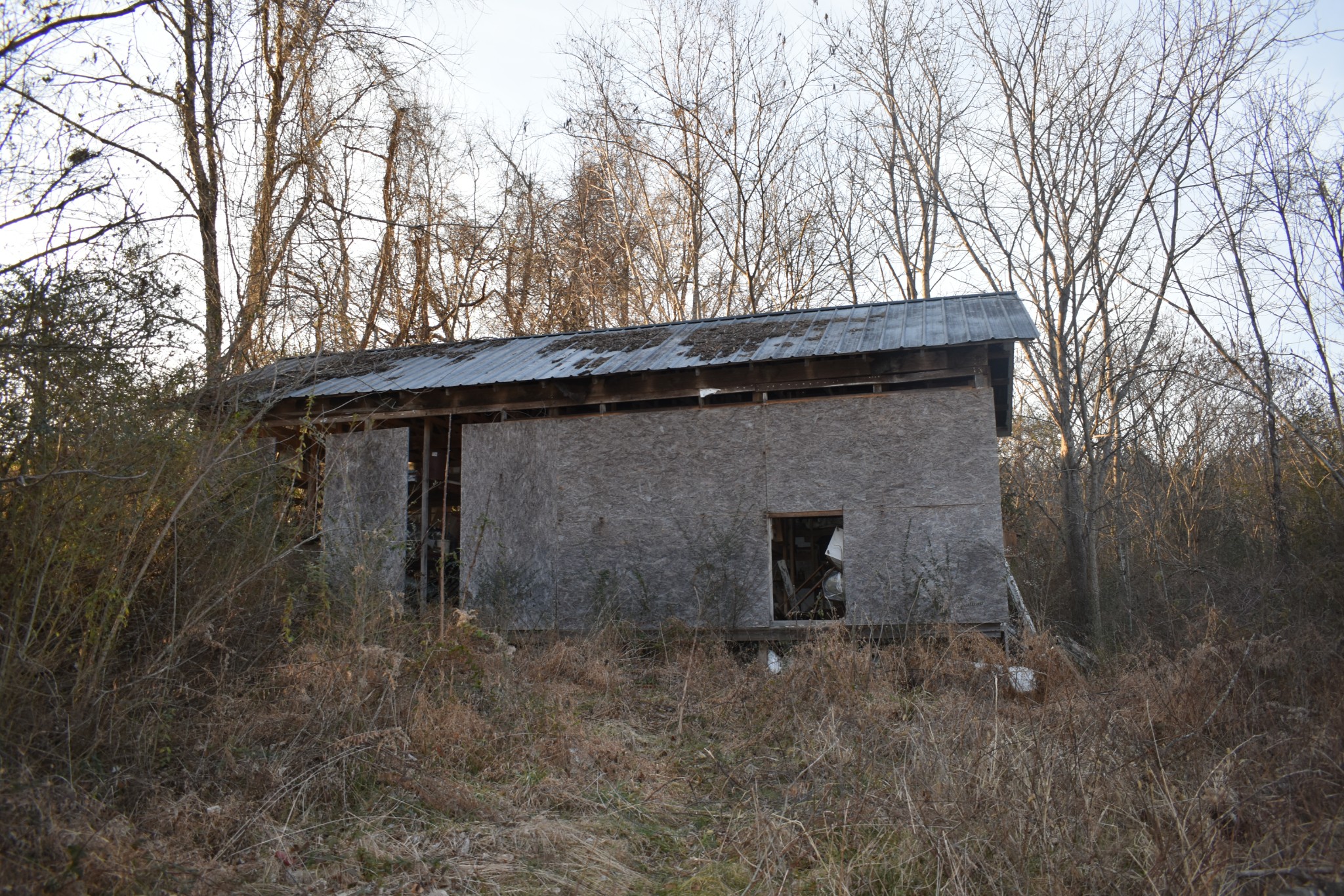 42 Sykes Road Hickman, TN 38567 - Photo 5 of 10