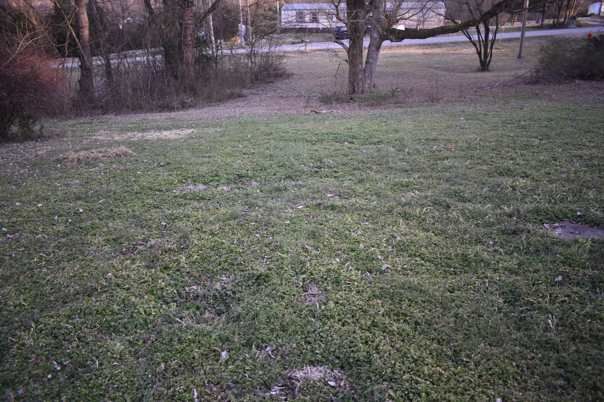 42 Sykes Road Hickman, TN 38567 - Photo 6 of 10