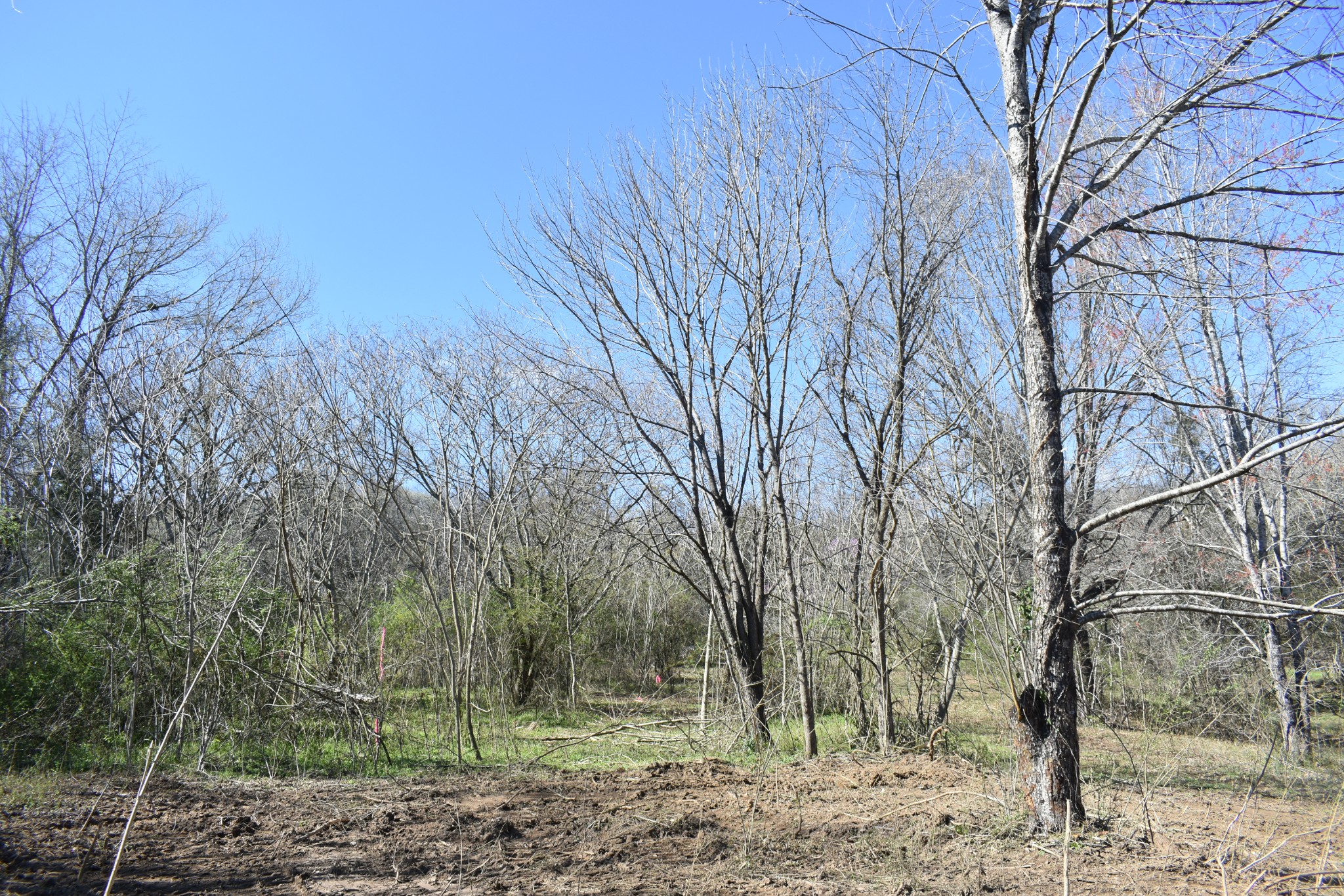 42 Sykes Road Hickman, TN 38567 - Photo 7 of 10