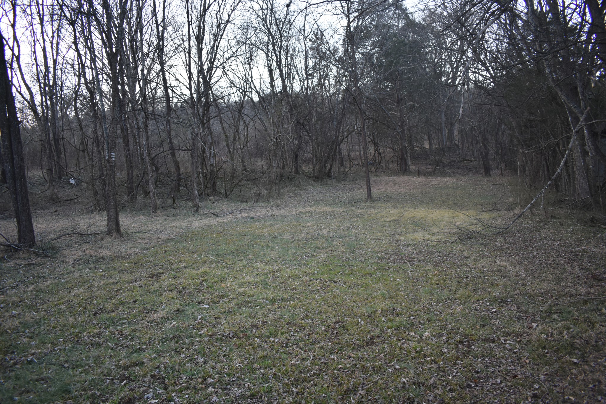 42 Sykes Road Hickman, TN 38567 - Photo 9 of 10