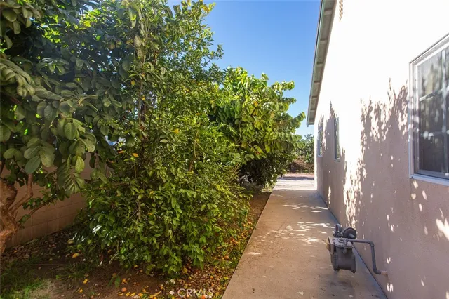 a view of a pathway with a tree
