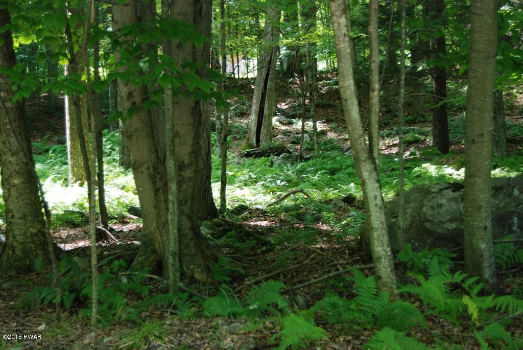 4 Sundew Road Lake Ariel, PA 18436 - Photo 2 of 9