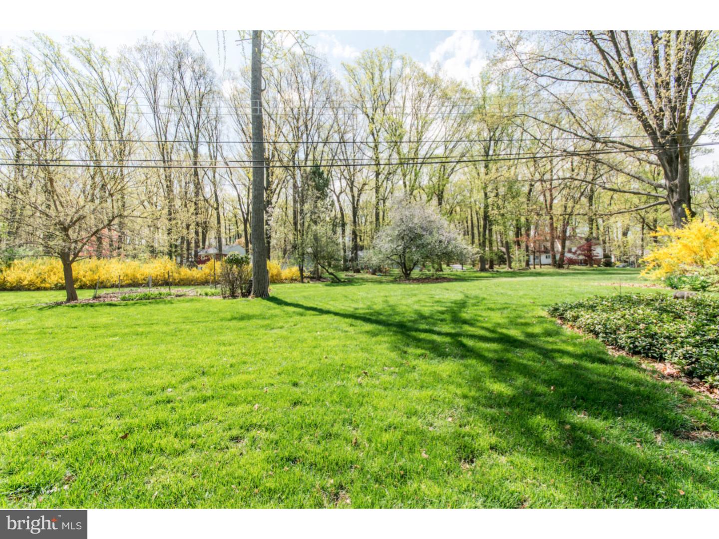 262 Devonshire Road Devon, PA 19333 - Photo 22 of 23 a view of a park with large trees