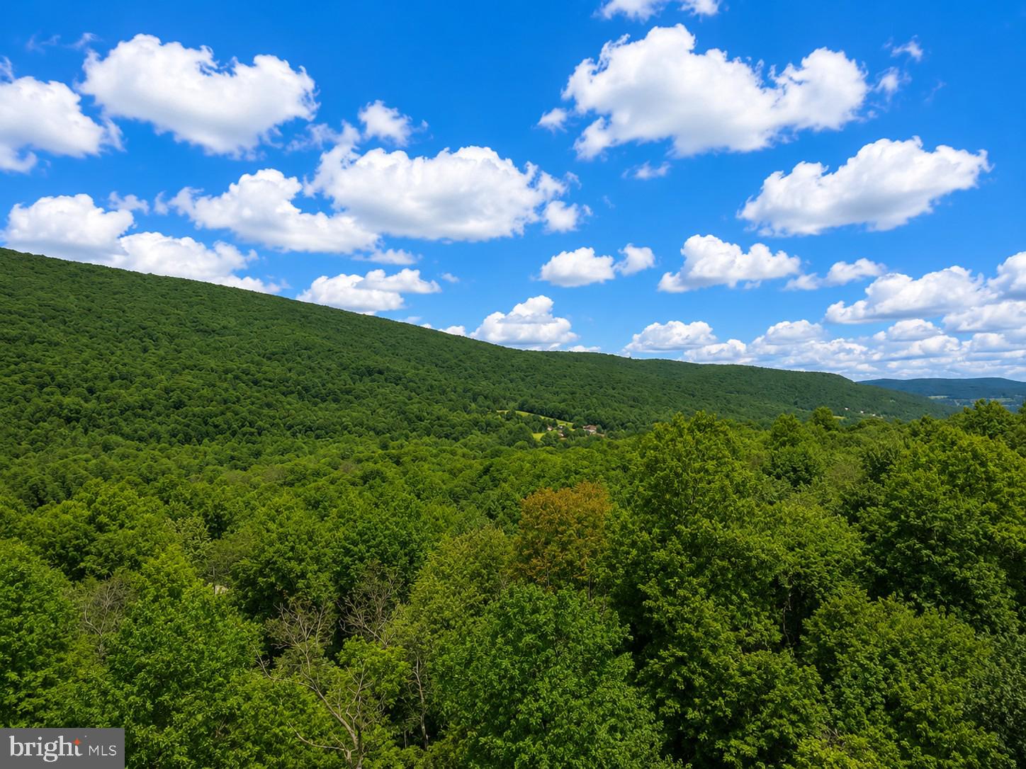 0 McCabe Road Landisburg, PA 17040 - Photo 11 of 11