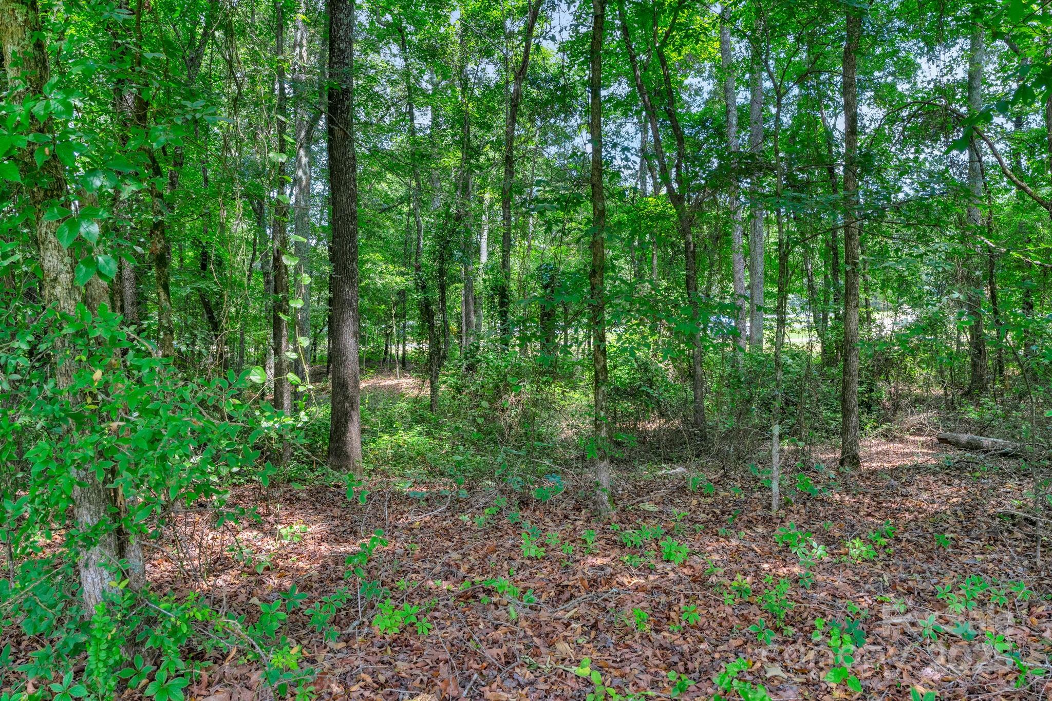 186 Niven Road Lancaster, SC 29720 - Photo 34 of 42