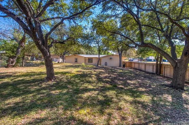 a view of a yard with tree s