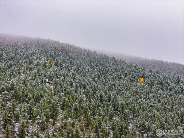 $985,000 | 200 Severance Lodge Road, Black Hawk, CO 80422