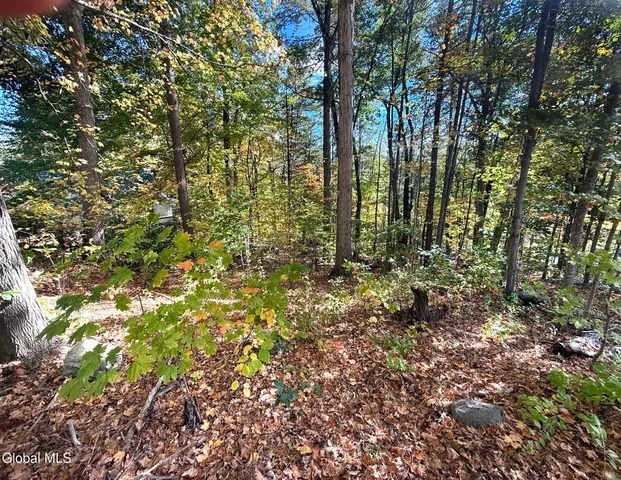 $44,900 | 32 Schermerhorn Drive, Lake George, NY 12845