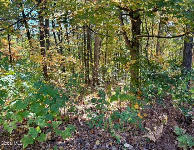 $44,900 | 32 Schermerhorn Drive, Lake George, NY 12845