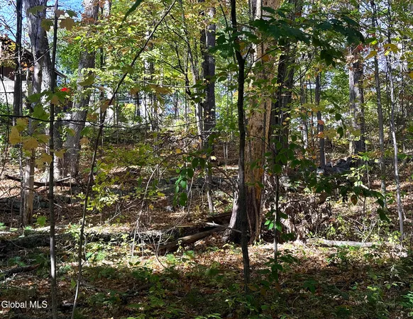$44,900 | 32 Schermerhorn Drive, Lake George, NY 12845