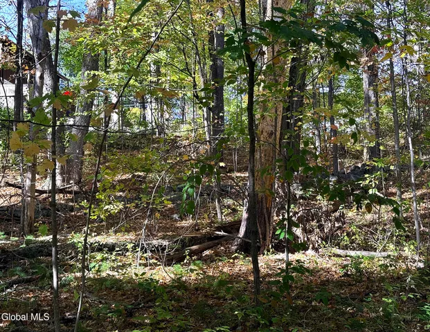 $44,900 | 32 Schermerhorn Drive, Lake George, NY 12845