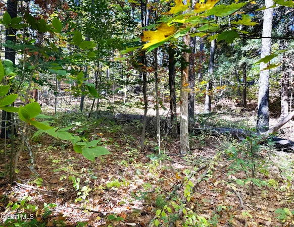 $44,900 | 32 Schermerhorn Drive, Lake George, NY 12845
