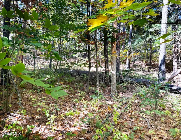 $44,900 | 32 Schermerhorn Drive, Lake George, NY 12845