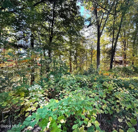 $44,900 | 32 Schermerhorn Drive, Lake George, NY 12845